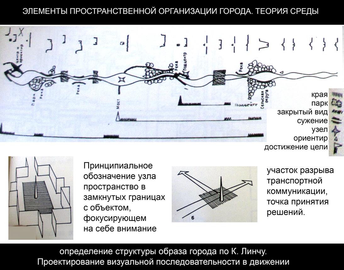 Узлы социальной активности – А. В. Бычкова | elima.ru